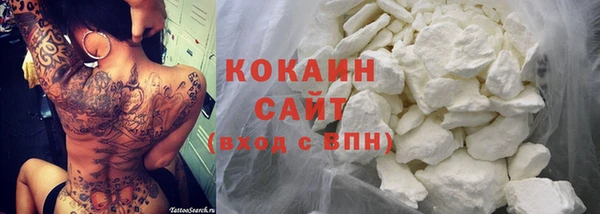 прущая мука Богородицк