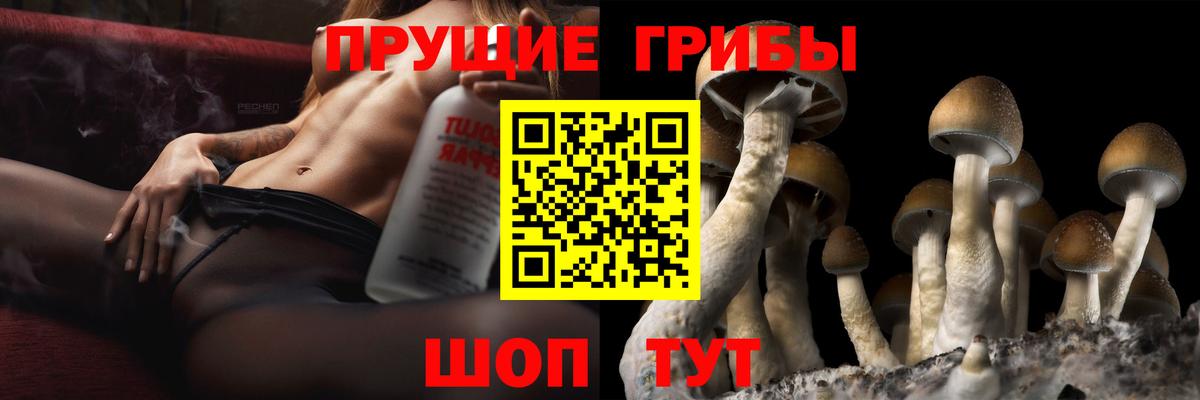 Галлюциногенные грибы Psilocybine cubensis  Псилоцибиновые грибы мухоморы  Волжск  Вход с VPN 